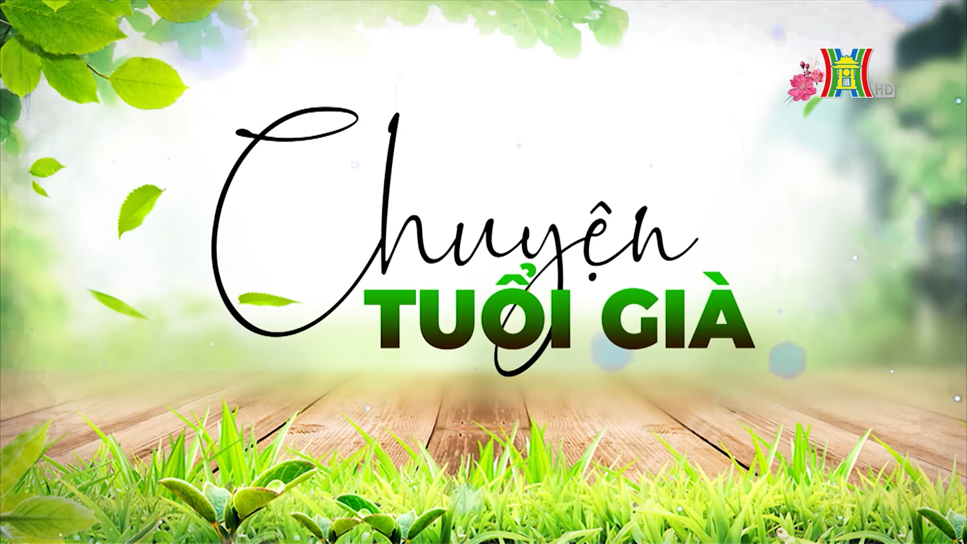 Áo dài, trang phục Tết người Vệt | Chuyện tuổi già | 18/02/2026